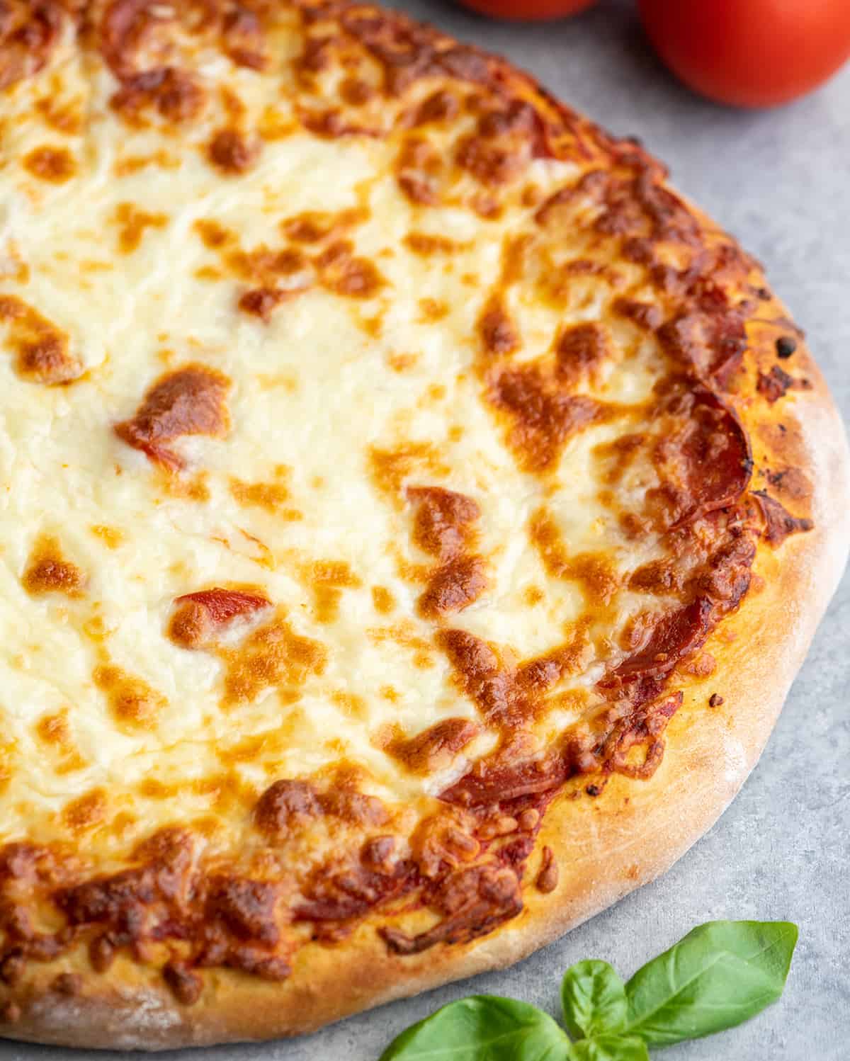 Fast Rising B Plug Defense Quick Rise Pizza Dough Mix | Olivas de Oro