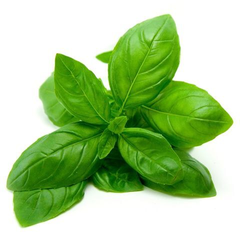 Basil Olive Oil